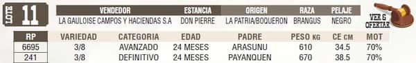 Lote LOTE 11 - EN VIVO