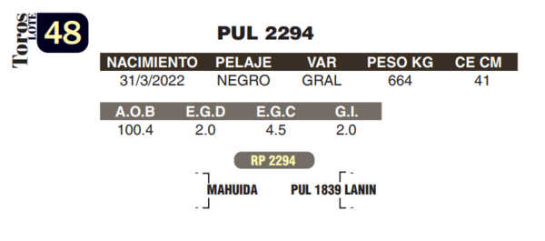 Lote LOTE 48