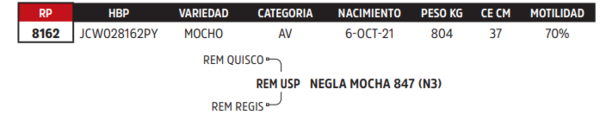 Lote LOTE 18