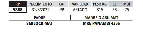 Lote LOTE 51