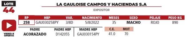 Lote LOTE 44