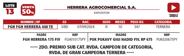 Lote LOTE 13 - SALE A VENTA EL 50%
