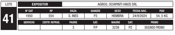 Lote LOTE 41