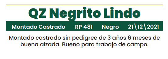 Lote LOTE 23