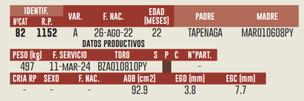 Lote LOTE 10