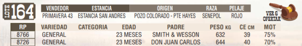 Lote LOTE 164