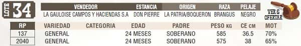 Lote LOTE 34 - EN VIVO