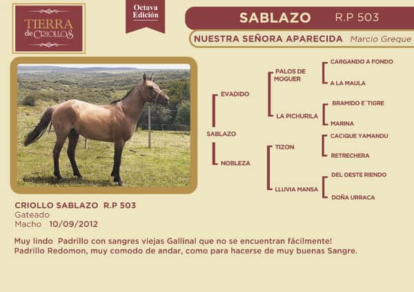 Lote Tierra de Criollos - Nuestra Señora Aparecida -  Sablazo RP 503
