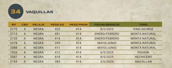 Lote LOTE 34