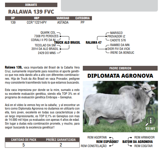 Lote LOTE 55