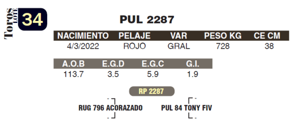 Lote LOTE 34