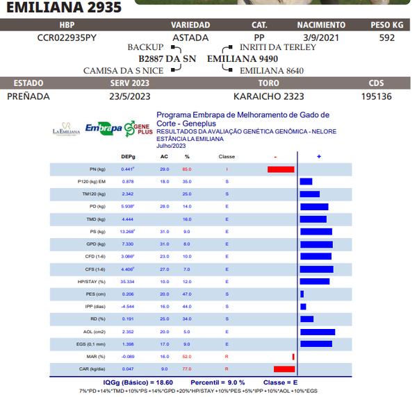 Lote LOTE 57