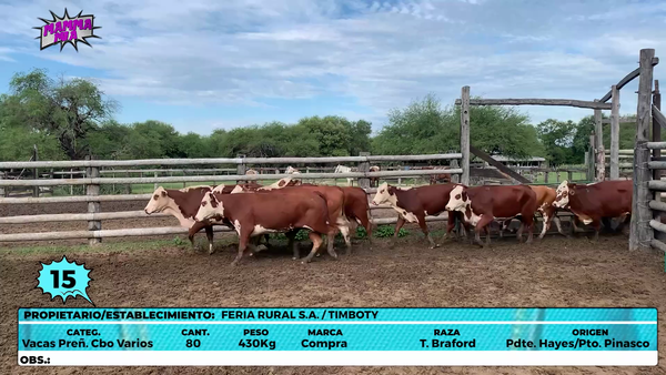 Lote LOTE 15