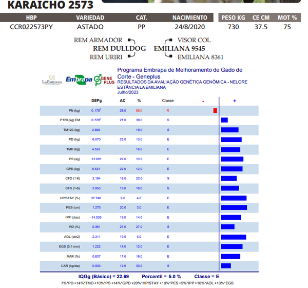 Lote LOTE 25