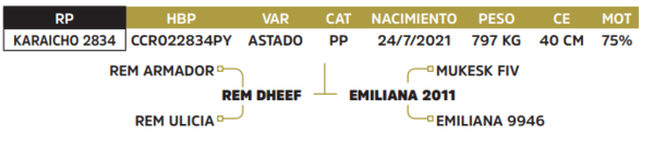 Lote LOTE 29