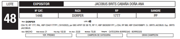 Lote LOTE 48