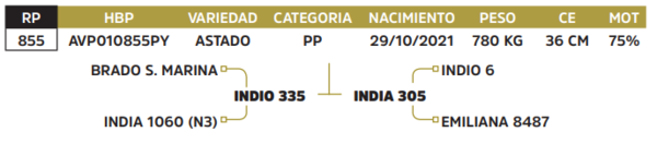 Lote LOTE 5