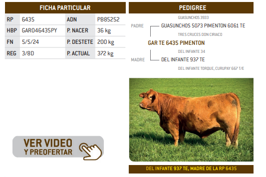 Lote LOTE 6