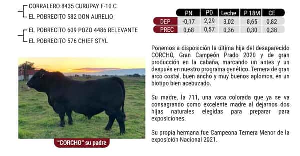 Lote "CABAÑA SAN QUINTÍN" - SAN QUINTIN 41 CORCHO JACQUES
