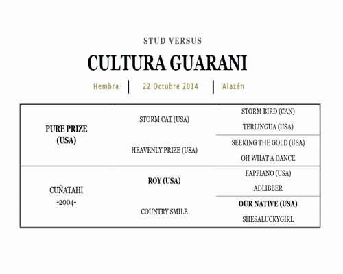 Lote CULTURA GUARANI (PURE PRIZE - CUÑATAHI)