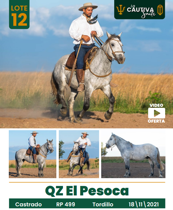 Lote LOTE 12