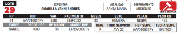 Lote LOTE 29- CAMPO