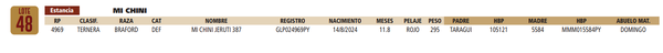 Lote LOTE 48