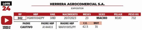 Lote LOTE 24