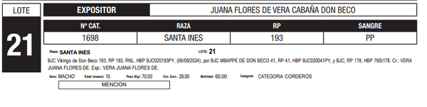 Lote LOTE 21