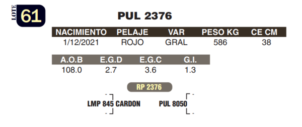 Lote LOTE 61