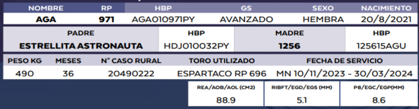 Lote LOTE 33