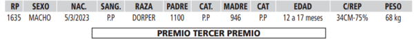 Lote LOTE 28