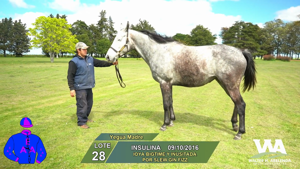 Lote INSULINA