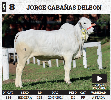 Lote LOTE 8 - BOZAL