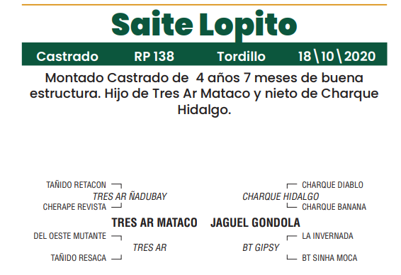 Lote LOTE 33