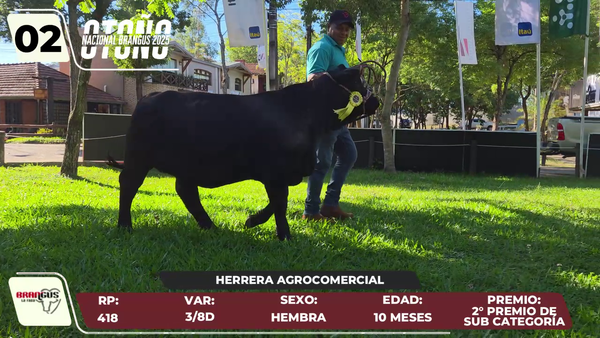 Lote LOTE 2