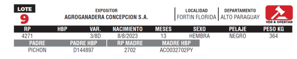 Lote LOTE 9- JUNIOR