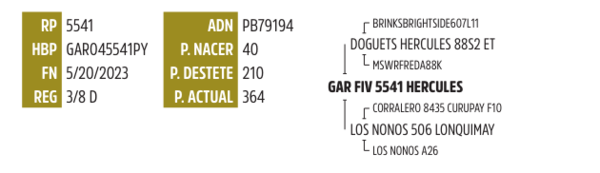 Lote LOTE 7