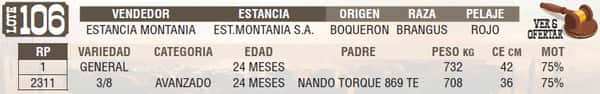 Lote LOTE 106 - EN VIVO