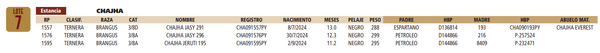 Lote LOTE 7