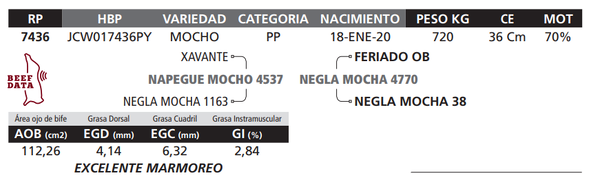Lote LOTE 45