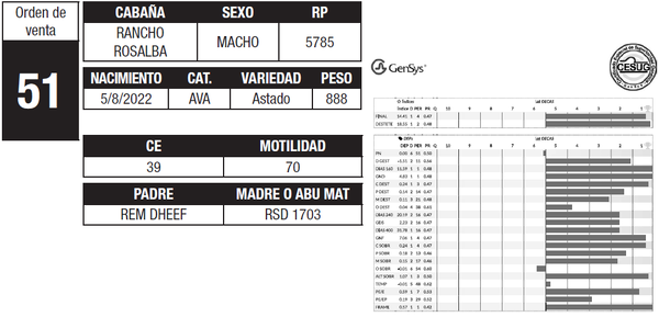 Lote LOTE 51