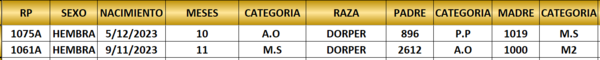 Lote LOTE 19