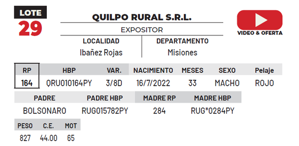 Lote LOTE 29