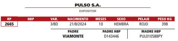 Lote LOTE 8