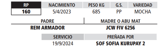 Lote LOTE 24