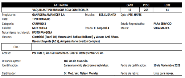 Lote LOTE 61