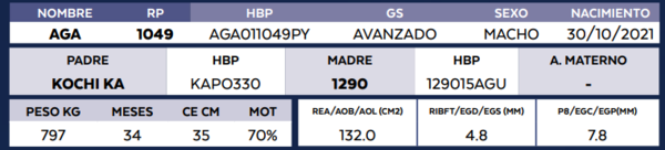 Lote LOTE 68