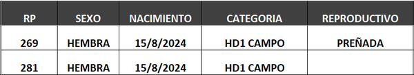 Lote LOTE 6- CAMPO