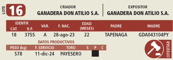 Lote LOTE 16
